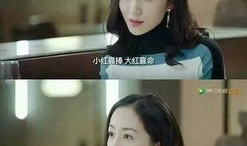 娱乐圈前排吃瓜小说,前排吃瓜者的独家揭秘