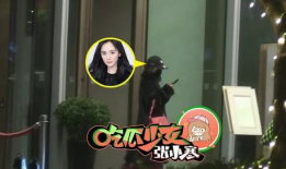 吃瓜少女张小寒娱乐圈,吃瓜少女的娱乐圈探秘之旅